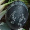 Austin LeFevre's Egg Art (2)